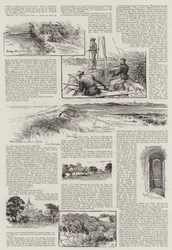Norfolk Nooks